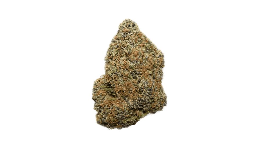 The Chocolope (AAA) is a must-have for consumers who want to taste a chocolate-y and sweet strain similar to Gorilla Bomb. 
