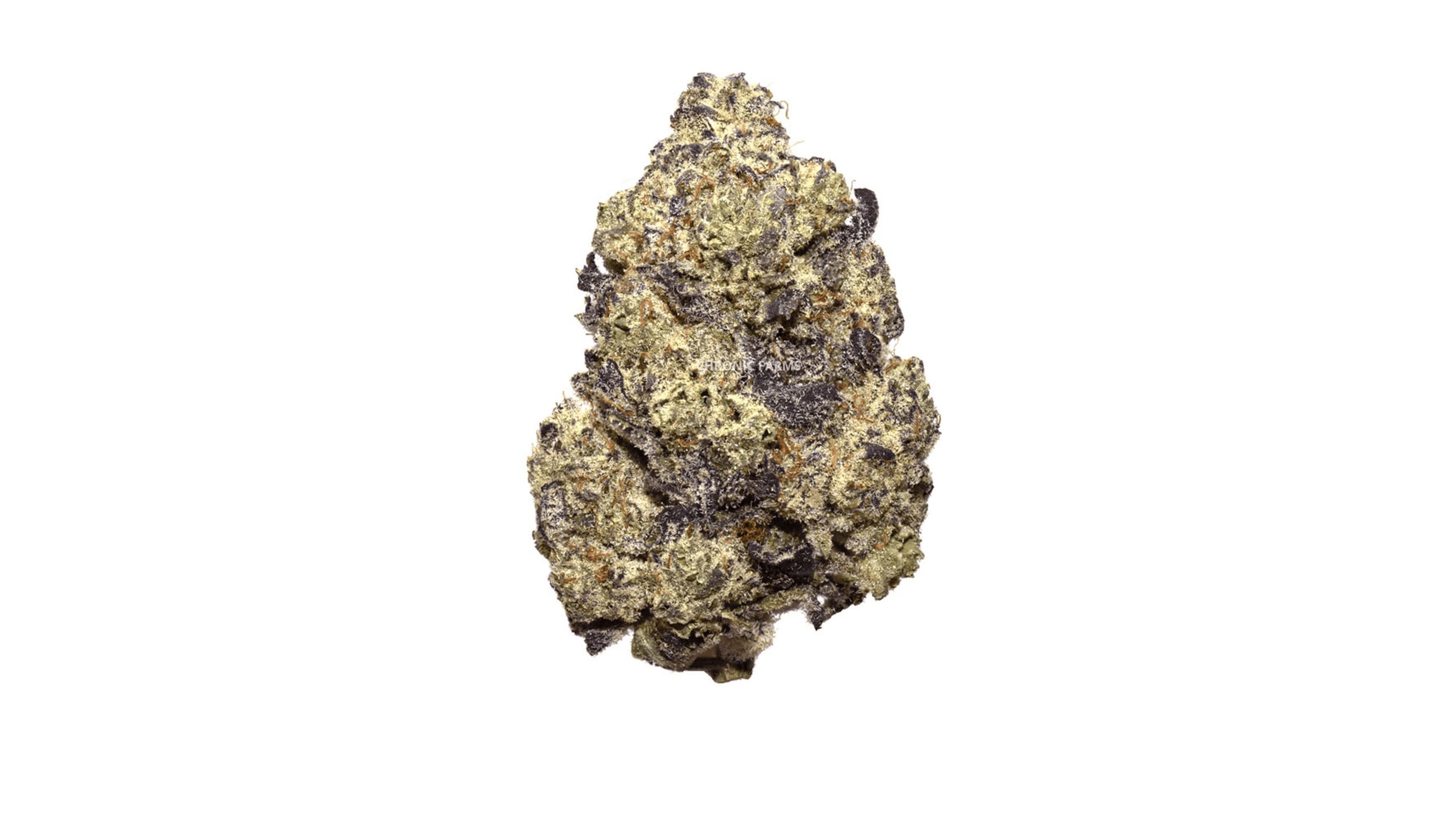 The Donkey Butter (AAAA+) is a top-shelf Indica strain that boasts a powerful THC content of around 26 to 29 percent. 
