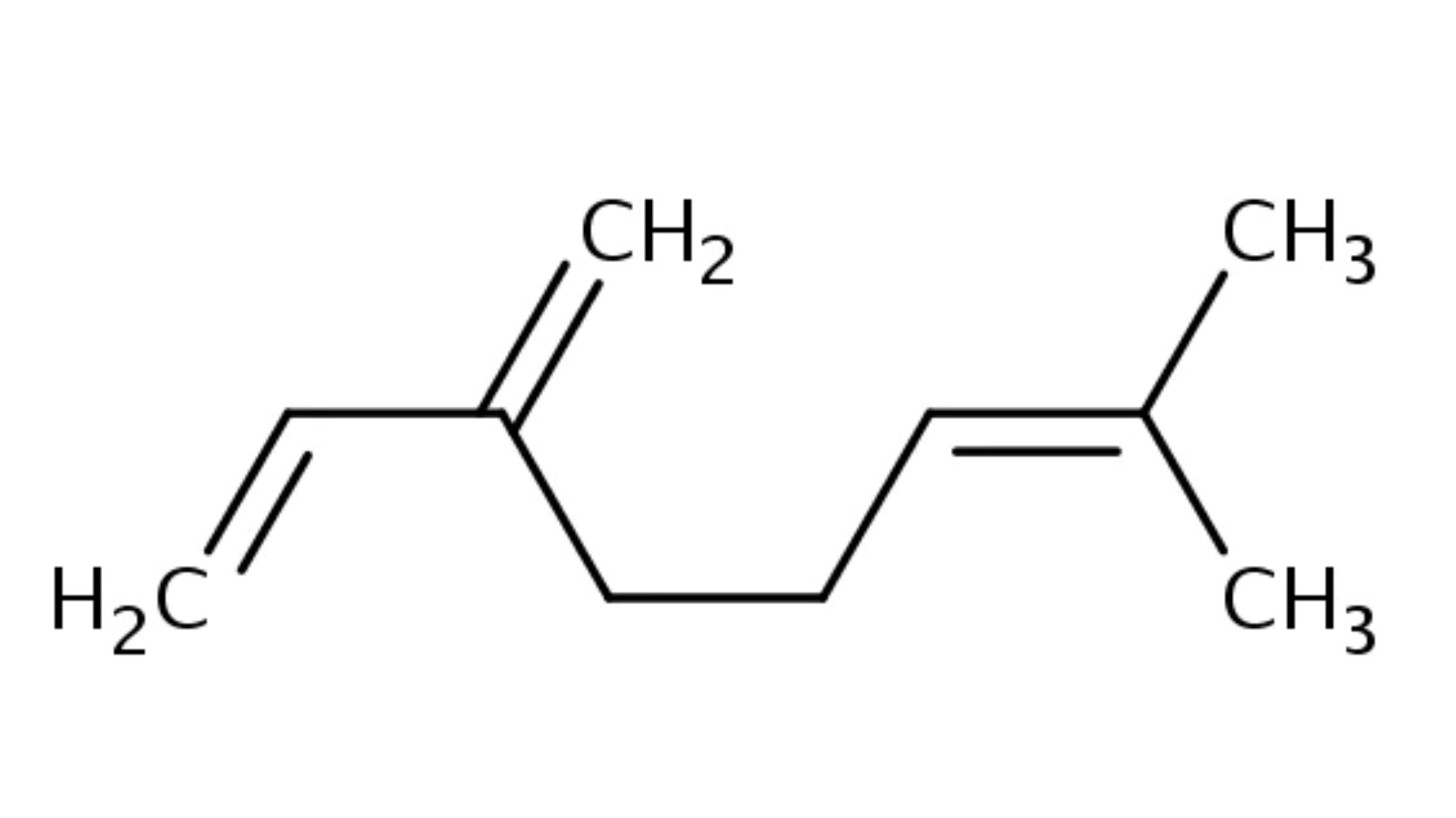 The terpene profile of Gods Green Crack will shock you - it couldn’t be any more striking. Namely, the top three most abundant terpenes in Gods Green Crack are myrcene, caryophyllene, and limonene.