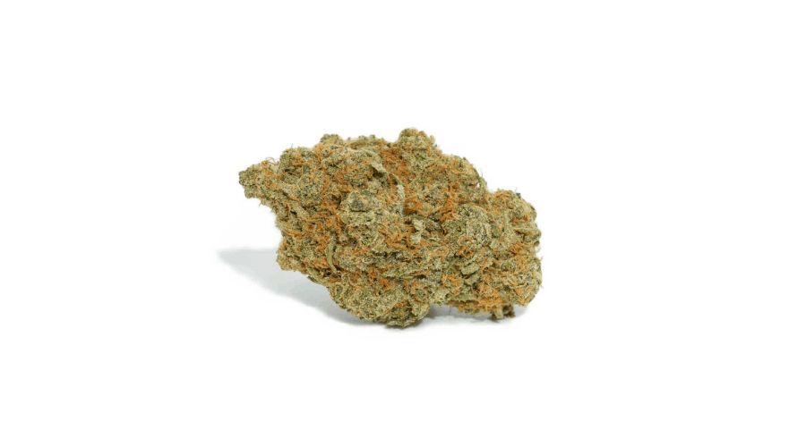 In short, the Gorilla Bomb strain is an ultra-rare and highly popular hybrid, composed of 60 percent Sativa and 40 percent Indica. 