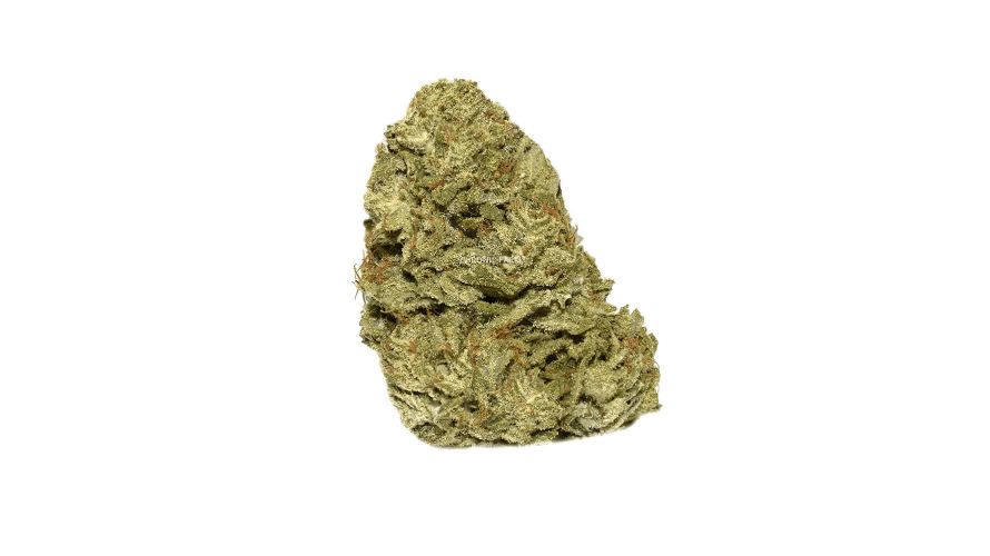Order the Love Potion strain online and enjoy its enticing aroma of skunky lemon citrus and a taste of tangy lemon with a hint of spicy skunk.