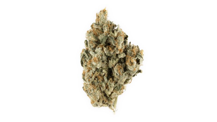 If you’re a fan of classic musty, skunky weed aromas, then you’ll fall under the spells of the Love Potion weed strain. 