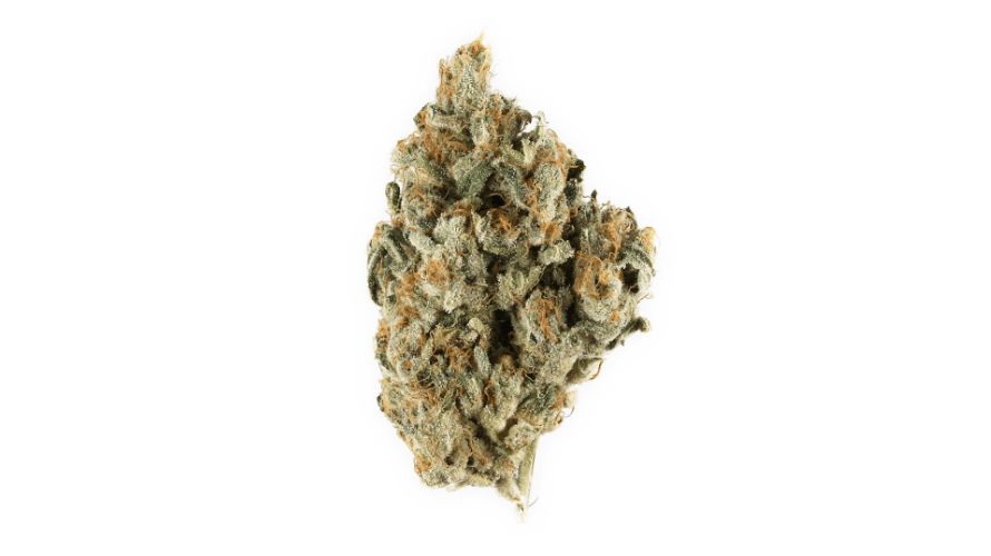 Love Potion Strain Unlock Your Passion With Weed Strain