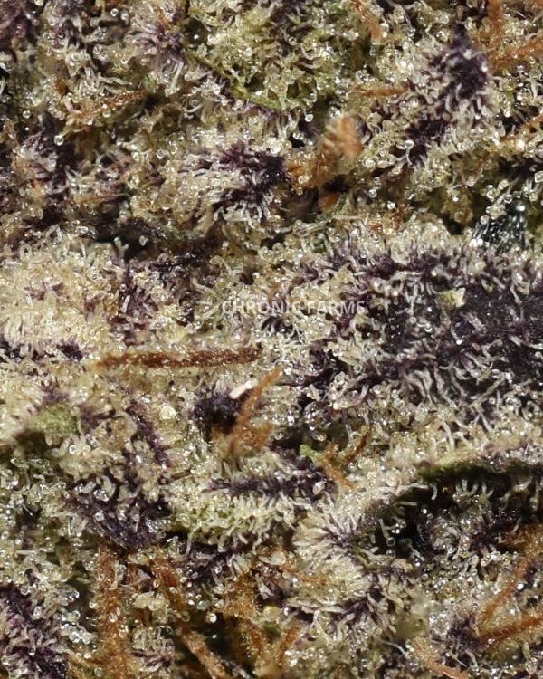 BUY-PURPLEICECREAMCAKE-AAAA+-FLOWER-AT-CHRONICFARMS.CC-ONLINE-WEED-DISPENSARY