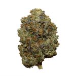 Pinetar Bubba AAAA+