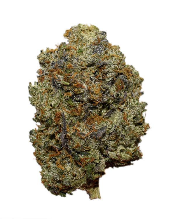 Pinetar Bubba AAAA+