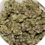 Pinetar Bubba AAAA+ Bag