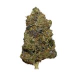 Pink Bubba AAAA+