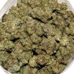 Pink Bubba AAAA+ Bag