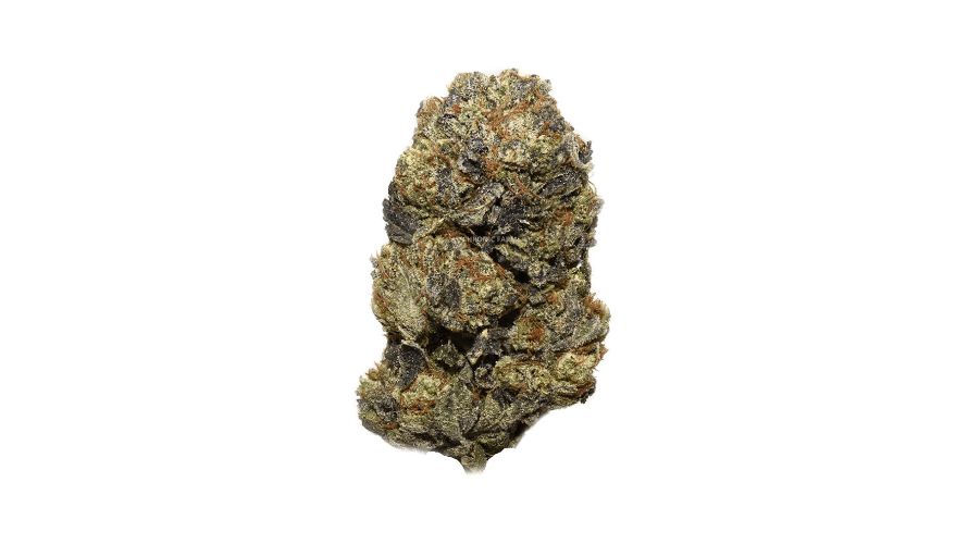 The Purple Octane (AAAA) is another fabulous alternative to the Gorilla Bomb strain and a true treat for Indica fans who want to experience a powerful and long-lasting bud. 