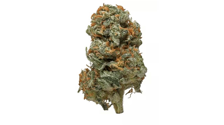 If you're a fan of Romulan, then you know just how unique and distinct this strain can be. Romulan is known for its earthy and piney aroma.