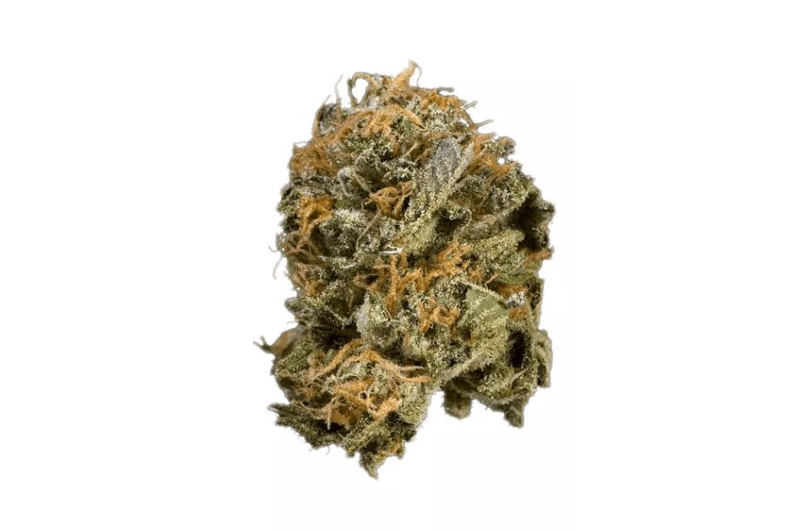 In this blog post, we will be taking a closer look at the Romulan strain, examining its aroma, flavor, and effects. Keep on reading blog for more info.