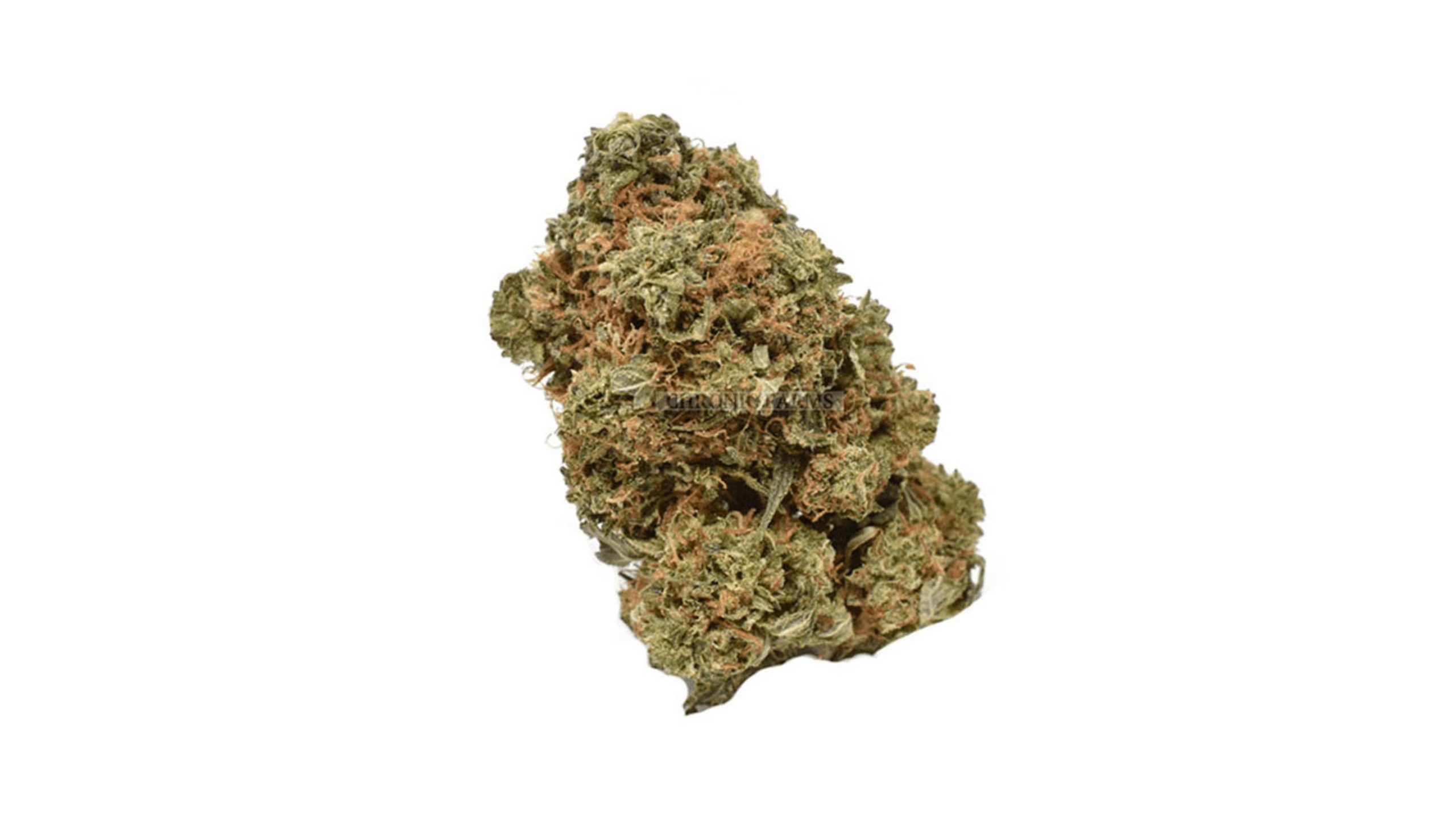 The Sour Angel (AA) is a well-balanced hybrid strain that offers a unique and flavour-packed high. This hybrid is perfect for consumers seeking to make cannabutter that provides balanced effects. 