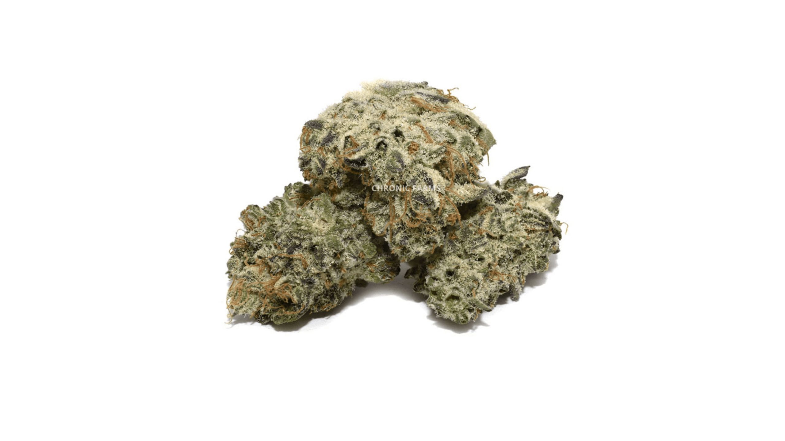 Are you a die-hard Indica lover struggling with tension and chronic pain? If so, Sugar Cake Popcorn (AAAA) is a strain that you won't want to miss. 