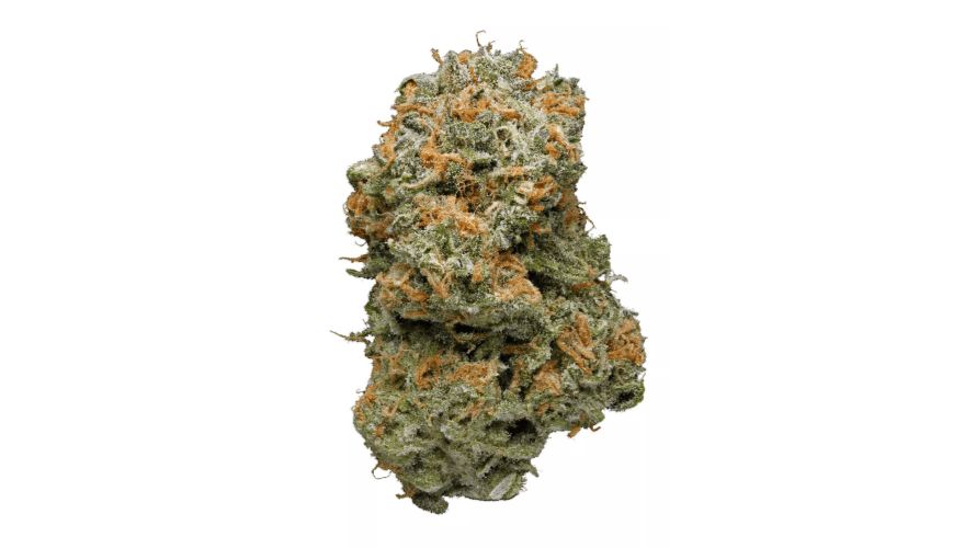 This strain consists of light green nugs with fiery orange-tinted pistils. The nugs are long and bushy, have deep blue hues, and are covered with a heavy blanket of frosty trichomes.