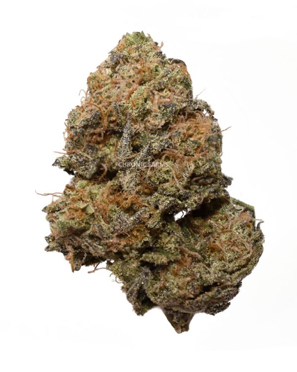 BUY-BLUE-WIDOW-AAA-AT-CHRONICFARMS.CC-ONLINE-WEED-DISPENSARY-IN-BC