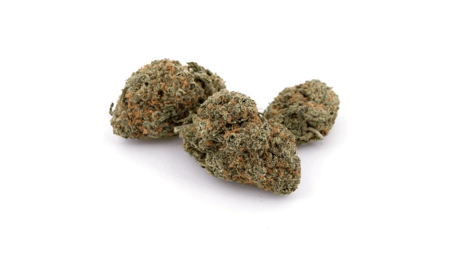 As mentioned earlier, the Blueberry Nuken strain provides users with a THC content of at least 20 percent, and often even more. 