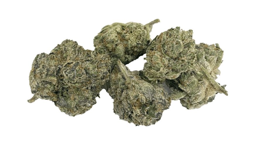 We all know that the Comatose strain is a heavy-hitting favourite with its impressive THC content of around 26 percent.