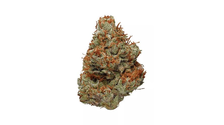 By now you know that the Comatose weed strain is a famous Indica that can knock you out with its strong THC kick. 