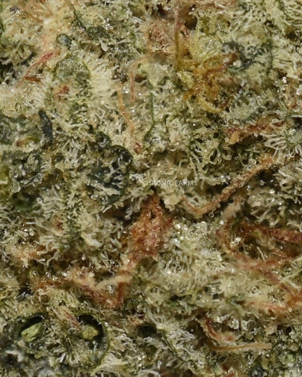 BUY-CRUNCH-BERRIES-AAAA-FLOWER--AT-CHRONICFARMS.CC-ONLINE-WEED-DISPENSARY-IN-BC