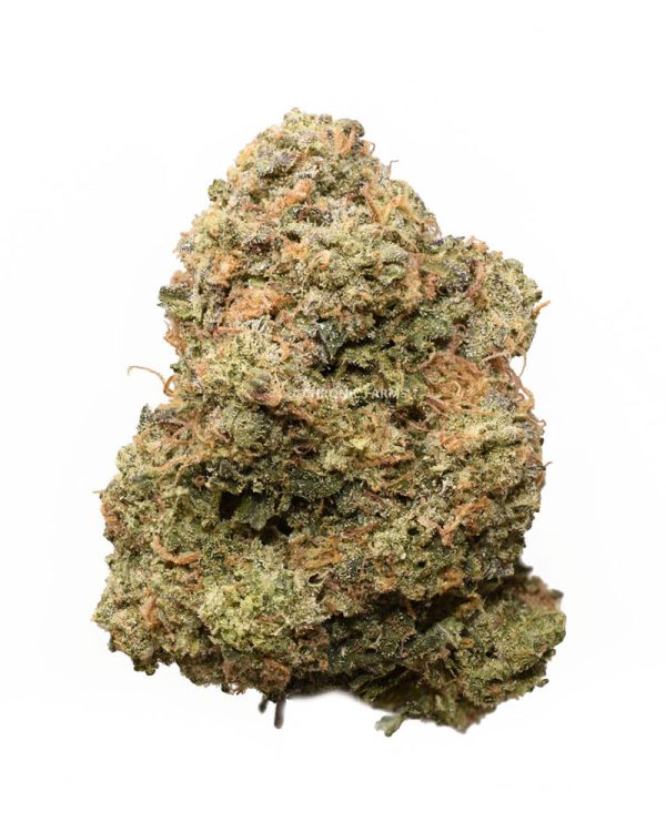 BUY-EL-JEFE-AAAA-AT-CHRONICFARMS.CC-ONLINE-WEED-DISPENSARY-IN-BC