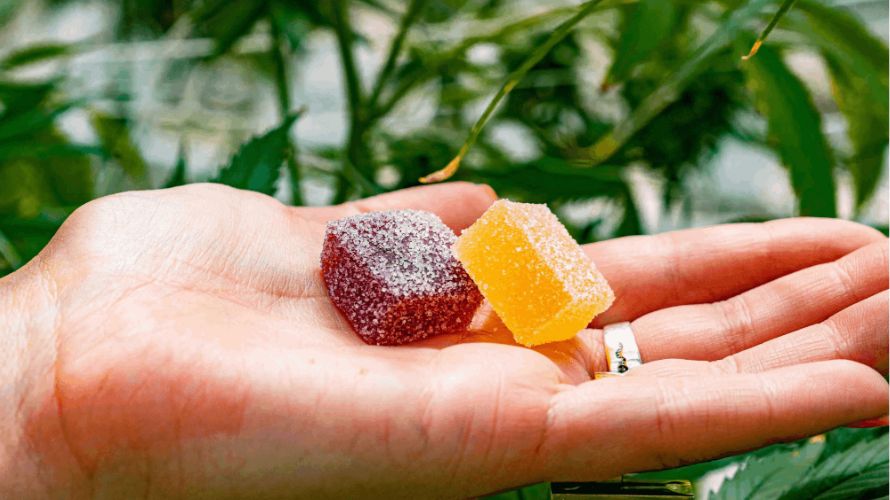 Cannabis edibles are a popular form of consuming cannabis, especially for those who prefer not to inhale smoke or vapour.