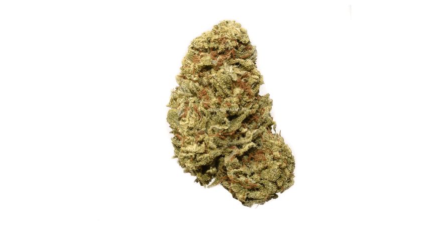Also known as “The Jack,” “JH,” “Premium Jack,” or “Platinum Jack”, Jack Herer is one of the best sativa strains that you can buy from our online weed dispensary.