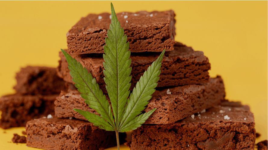 Weed brownies aren't as complicated in procedures for their consumption to reap their benefits. 