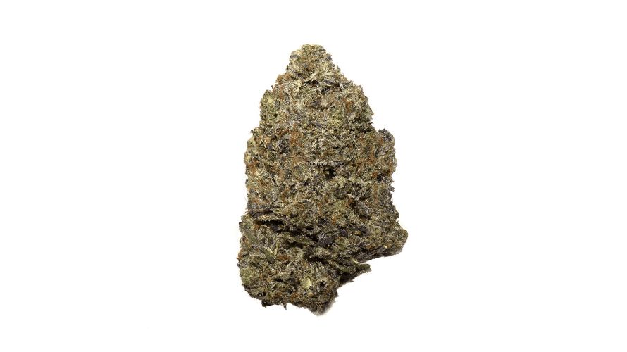 Rockstar is popular among cannabis enthusiasts who buy weed online for its powerful high that won't leave you sedated like most indica-heavy hybrids. 