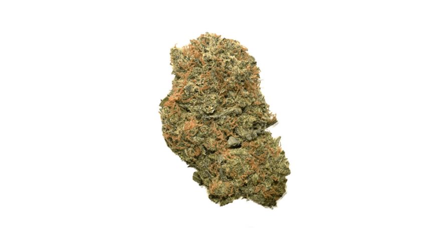 Strawberry Cough is a world-famous sativa dominant strain known for its super delicious flavour, head-spinning high and delightful aroma. 