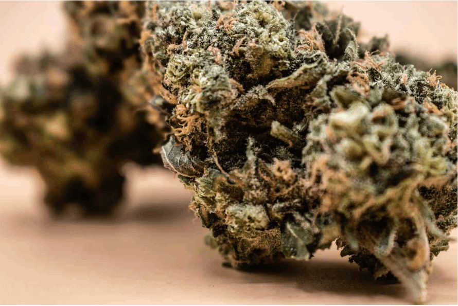 This Blue Dream strain review takes a deep look into the legendary strain to find out if it is still worth buying in 2023!