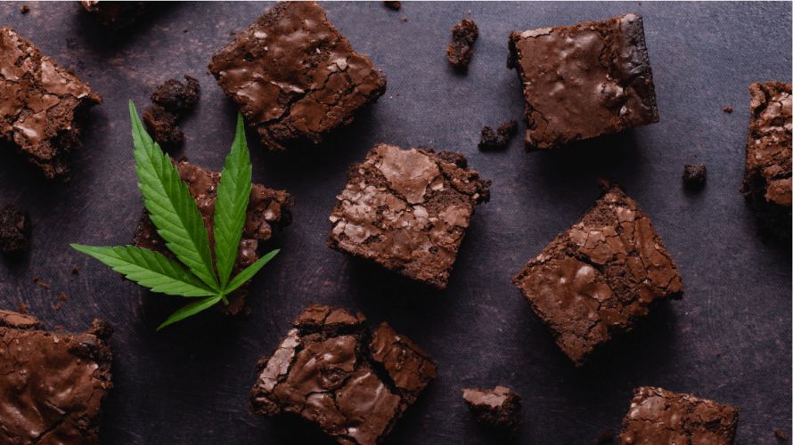 Weed brownies are a classic cannabis treat with high THC content and delicious chocolate flavour.