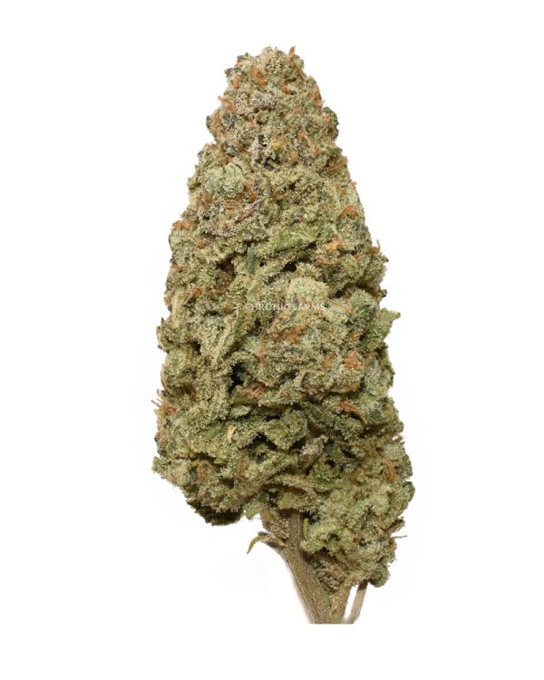 BUY-G-13-DIESEL-AT-CHRONICFARMS.CC-ONLINE-WEED-DISPENSARY-IN-BC