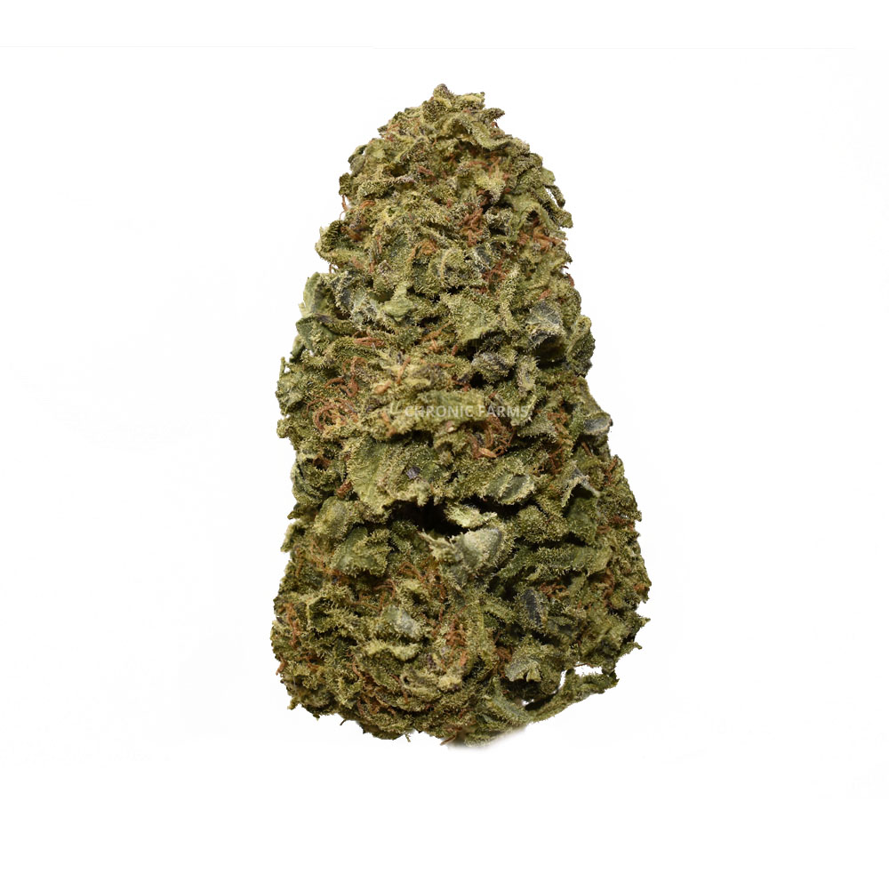 BUY-GELATO-PUNCH-AA-FLOWER--AT-CHRONICFARMS.CC-ONLINE-WEED-DISPENSARY-IN-BC
