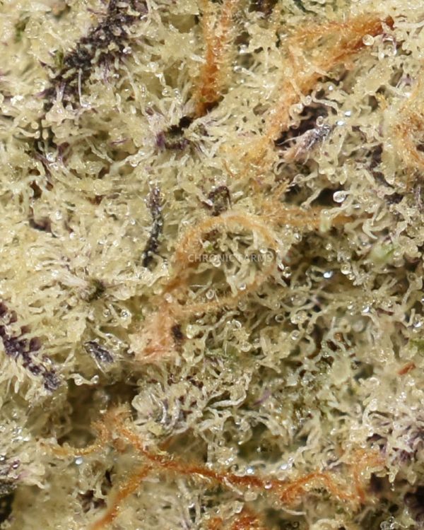 BUY-MCLFURRY-AAAA-AT-CHRONICFARMS.CC-ONLINE-WEED-DISPENSARY-IN-BC