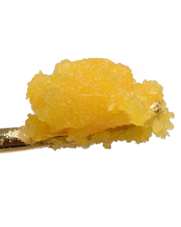 BUY-MANGO-HAZE-LIVE-RESIN-AT-CHRONICFARMS.CC-ONLINE-WEED-DISPENSARY-IN-CANADA