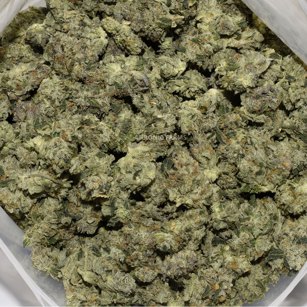buy-sfv-og-popcorn-at-chronicfarms-online-weed-dispensary-in-bc