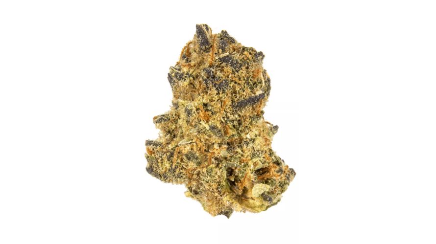 Tropic Thunder strain makes a statement with its alluring aroma and enticing flavour profile. It hosts an interesting symphony of tropical scents and delectable flavours that envelop the senses creating an experience evocative of an exotic paradise.