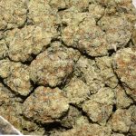 BUY-BISCOTTI-DOUGH-AAAA-FLOWER-HYBRID-AT-CHRONICFARMS.CC-ONLINE-WEED-DISPENSARY-IN-CANADA