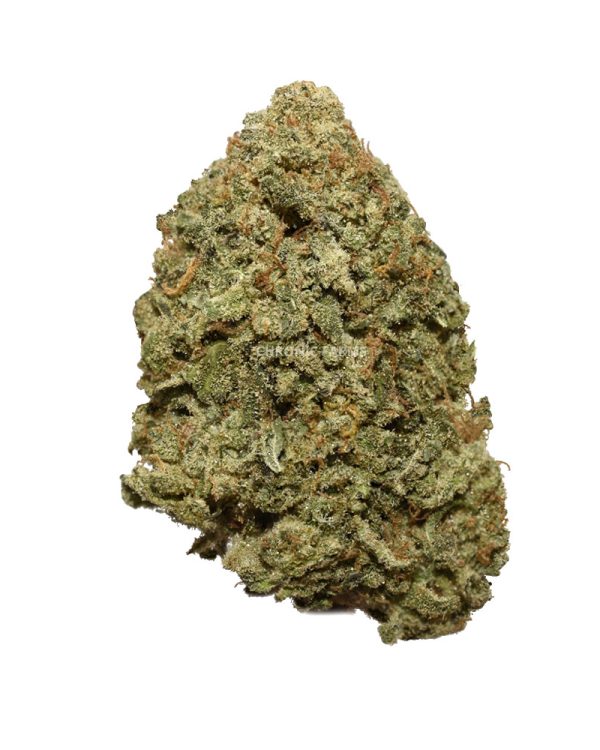BUY-BLUE-MATARO-AAA-FLOWER-HYBRID-AT-CHRONICFARMS.CC-ONLINE-WEED-DISPENSARY-IN-CANADA