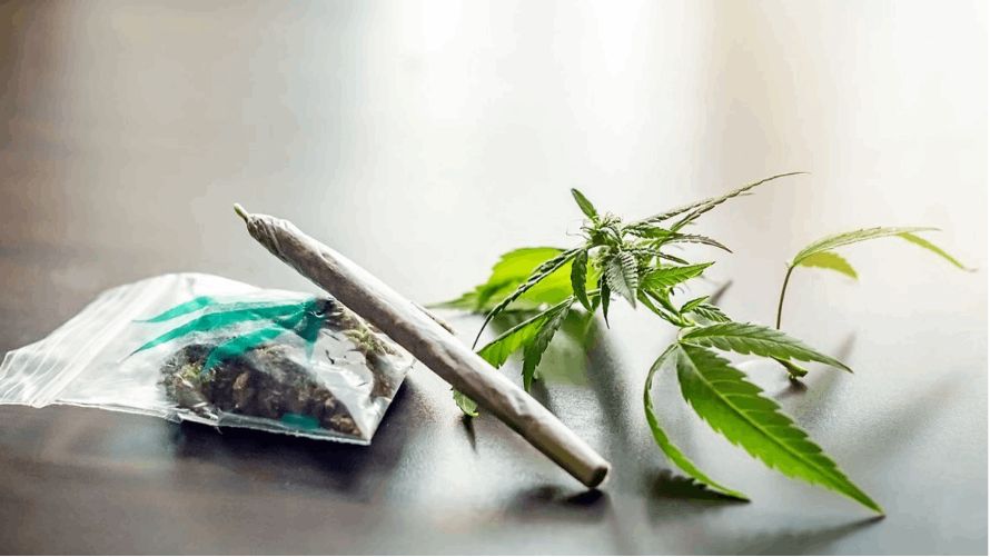 With abundant discounts, extensive product selection, convenience, and privacy, a Canadian online dispensary offers a superior experience compared to traditional brick-and-mortar weed stores. 