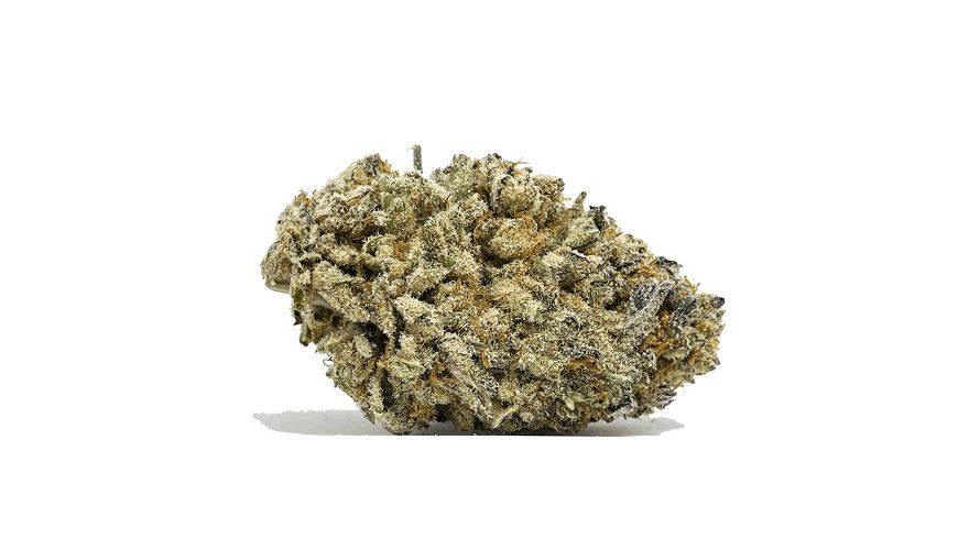 The El Chapo OG strain is a flavour explosion ready to be devoured! These are the flavours and aromas you can expect.