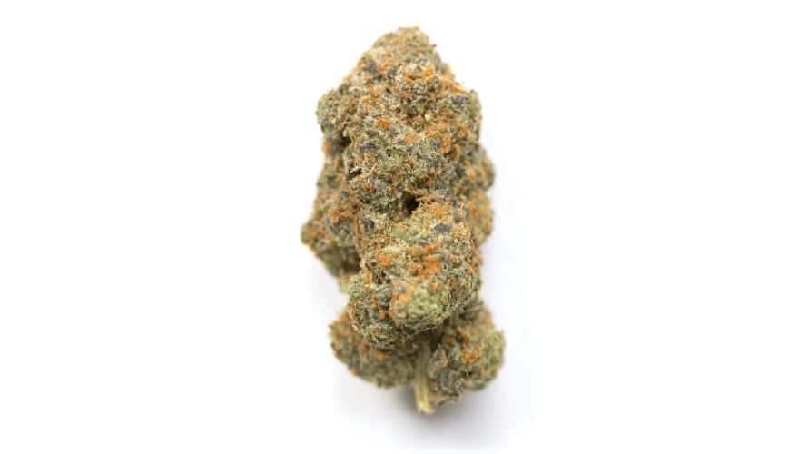 In brief, the El Chapo OG is a popular Indica hybrid, carefully crafted by blending 70 percent Indica genetics with a sprightly 30 percent Sativa. 