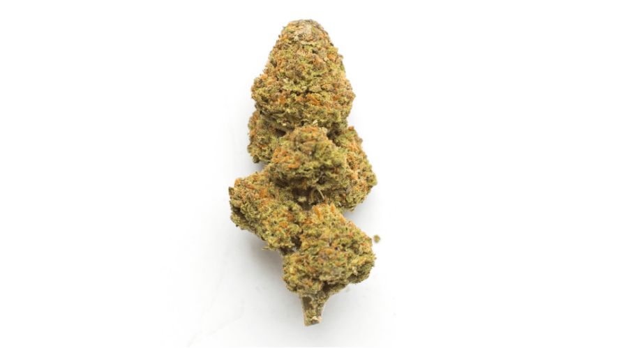 Tropic Thunder Srain is renowned for its potency. With moderate to high levels of THC, it delivers a well-balanced and long-lasting effect.