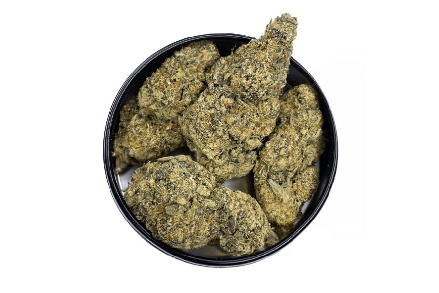 Sit tight, stoner, because we're about to analyse a real Indica powerhouse and sweet treat, a delicious sedative bud known as the Girl Scout Cookie strain. 