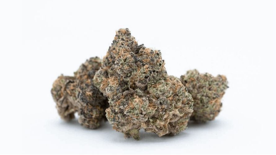 Ready to dive into the caffeine-soaked world of Kush Mints? Believe it or not, it’s one of the best cannabis strains you can find at an online weed dispensary. 