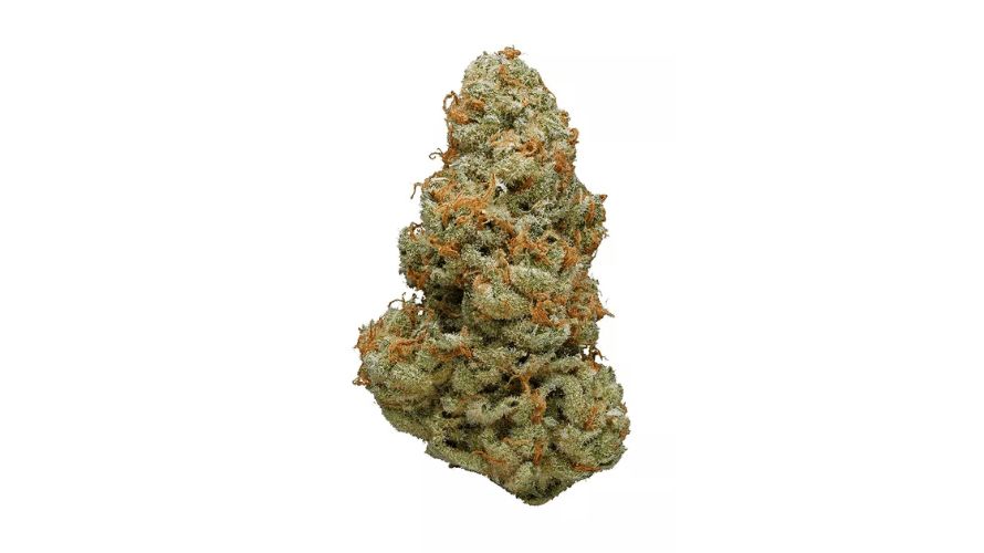 Lemon Diesel has a robust terpene profile that determines its flavour, aroma and some of its effects. The most abundant terpenes in this strain are myrcene, caryophyllene and pinene.