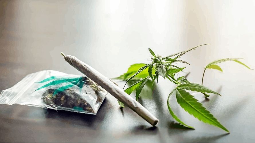 As you've figured out, the quality of your cannabis and the correct dosage is crucial to dodge a weed hangover. How do you find a quality online dispensary?