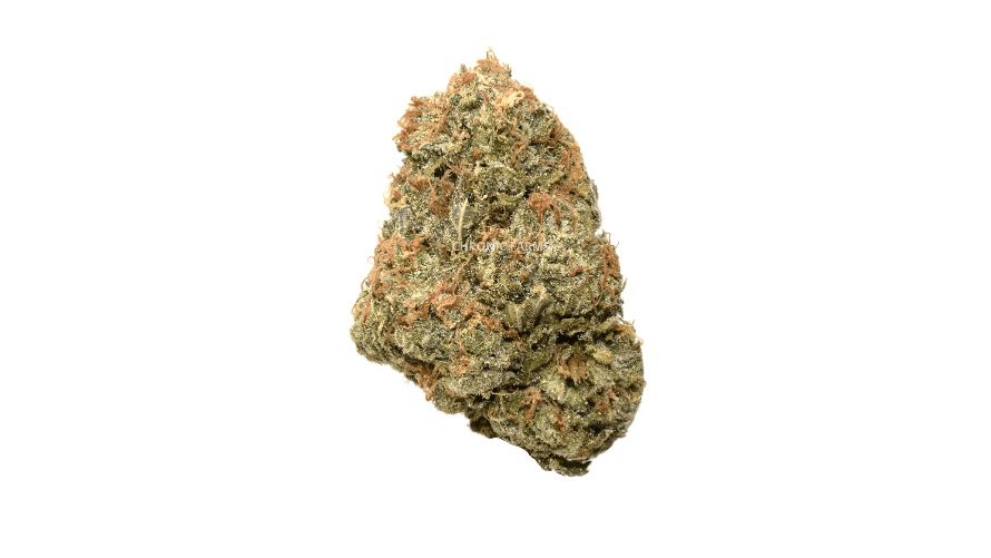 Last but not least, the Romulan (AAA) stands as a top strain for stoners in search of the highest-rated hybrid strain available at a Canadian online dispensary. 