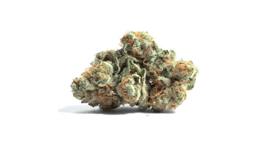 The Tropic Thunder strain origins aren’t widely documented, but its thought to be derived from a cross between Maui Wowie and an unknown strain.